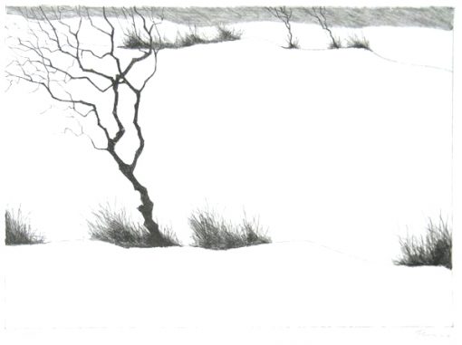 Paul Flora Lithographie Wintergestrüpp