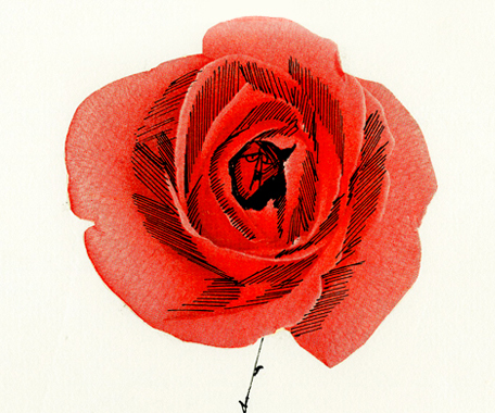 Paul Flora Ausschnitt aus Ein guter Freund Die Rose