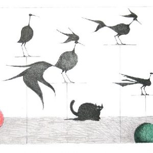 Katze, Vögel und Kugeln