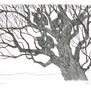Drei Unglücksraben im Baum