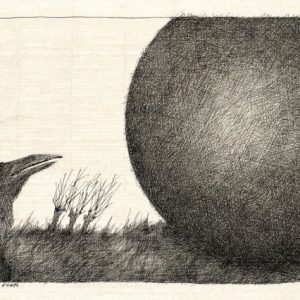 Der Rabe und die Kugel