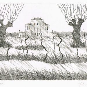 Terra Ferma