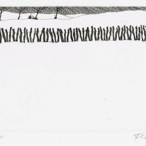 Winterzaun