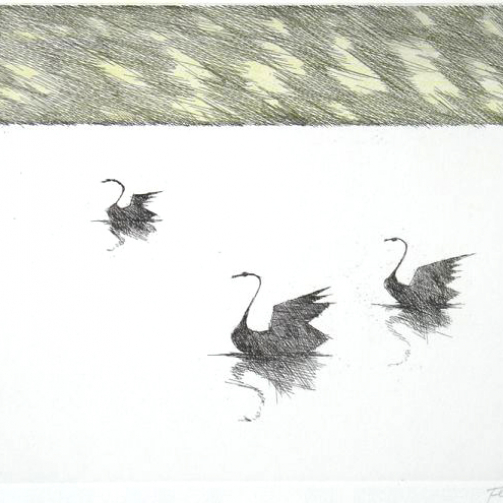 Paul Flora Radierung Drei schwarze Schwäne