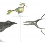 Paul Flora Rabe, Schere, Vogel