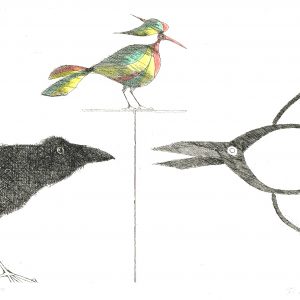 Paul Flora Rabe, Schere, Vogel
