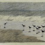 Paul Flora Poster Drakes Beach - Kalifornien I