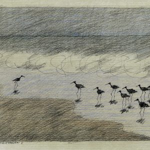Paul Flora Poster Drakes Beach - Kalifornien I