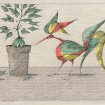 Paul Flora Postkarte Das Erstaunen des Vogels Kopie