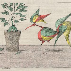 Paul Flora Postkarte Das Erstaunen des Vogels Kopie